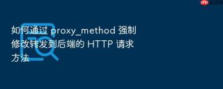 如何通过 proxy_method 强制修改转发到后端的 http 请求方法