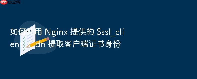 如何利用 nginx 提供的 $ssl_client_s_dn 提取客户端证书身份