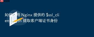 如何利用 nginx 提供的 $ssl_client_s_dn 提取客户端证书身份