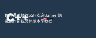 如何通过修改ssh欢迎banner隐藏操作系统具体版本号教程