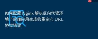 如何配置 nginx 解决反向代理环境下后端应用生成的重定向 url 协议错误