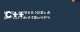 新手怎么排查服务器中隐藏在虚拟网口背后的数据流量监听行为