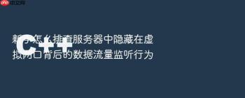 新手怎么排查服务器中隐藏在虚拟网口背后的数据流量监听行为