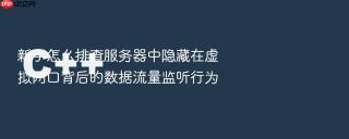 新手怎么排查服务器中隐藏在虚拟网口背后的数据流量监听行为
