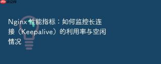 nginx 性能指标:如何监控长连接(keepalive)的利用率与空闲情况