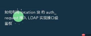 如何利用 location 块 的 auth_request 接入 ldap 实现接口级鉴权