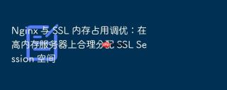 nginx 与 ssl 内存占用调优:在高内存服务器上合理分配 ssl session 空间