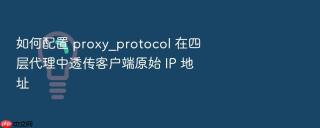 如何配置 proxy_protocol 在四层代理中透传客户端原始 ip 地址