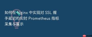 如何在 nginx 中实现对 ssl 握手延迟的实时 prometheus 指标采集与展示