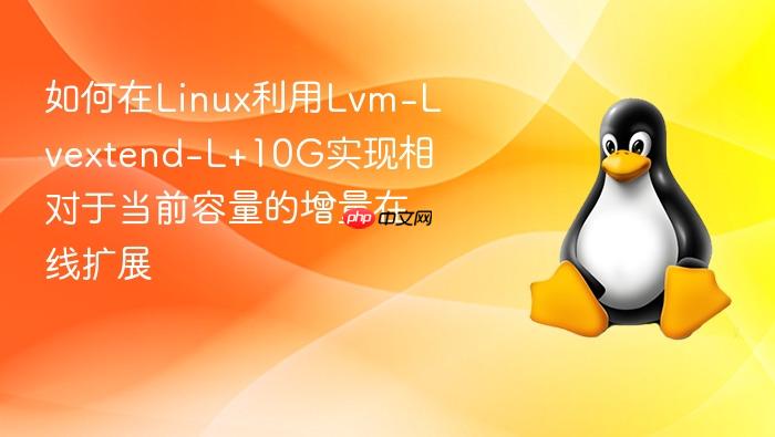 如何在linux利用lvm-lvextend-l+10g实现相对于当前容量的增量在线扩展