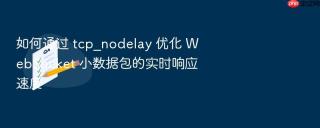 如何通过 tcp_nodelay 优化 websocket 小数据包的实时响应速度