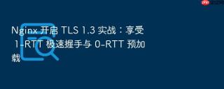 nginx 开启 tls 1.3 实战：享受 1-rtt 极速握手与 0-rtt 预加载