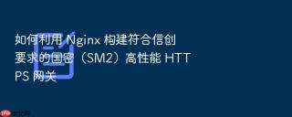 如何利用 nginx 构建符合信创要求的国密(sm2)高性能 https 网关