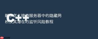 新手怎么排查服务器中的隐藏网桥及其潜在的监听风险教程