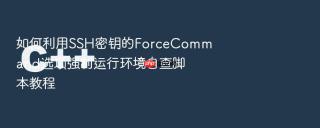 如何利用SSH密钥的ForceCommand选项强制运行环境自查脚本教程