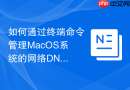 如何通过终端命令管理MacOS系统的网络DNS预取与缓存策略