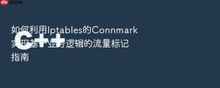 如何利用Iptables的Connmark实现基于业务逻辑的流量标记指南