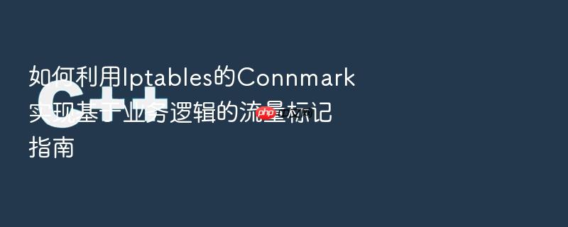 如何利用iptables的connmark实现基于业务逻辑的流量标记指南
