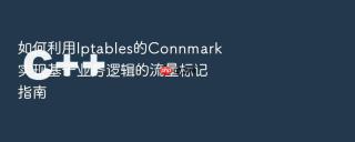 如何利用iptables的connmark实现基于业务逻辑的流量标记指南