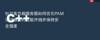 针对高负载服务器如何优化PAM认证模块的性能开销并保持安全强度