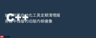 如何利用自动化工具定期清理服务器中残留的旧版内核镜像