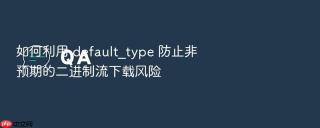 如何利用 default_type 防止非预期的二进制流下载风险