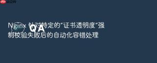 nginx 针对特定的“证书透明度”强制校验失败后的自动化容错处理