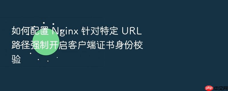 如何配置 nginx 针对特定 url 路径强制开启客户端证书身份校验
