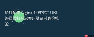 如何配置 nginx 针对特定 url 路径强制开启客户端证书身份校验