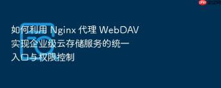 如何利用 nginx 代理 webdav 实现企业级云存储服务的统一入口与权限控制