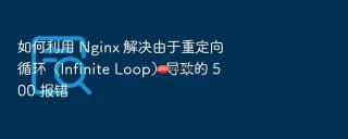 如何利用 nginx 解决由于重定向循环(infinite loop)导致的 500 报错