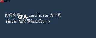 如何利用 ssl_certificate 为不同 server 块配置独立的证书