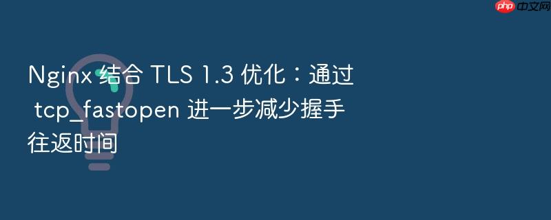 nginx 结合 tls 1.3 优化:通过 tcp_fastopen 进一步减少握手往返时间
