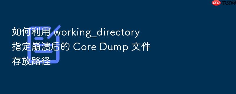 如何利用 working_directory 指定崩溃后的 core dump 文件存放路径
