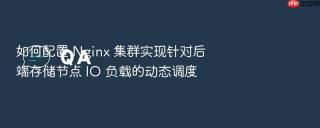 如何配置 nginx 集群实现针对后端存储节点 io 负载的动态调度
