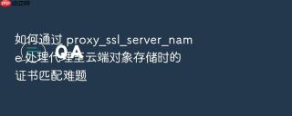 如何通过 proxy_ssl_server_name 处理代理至云端对象存储时的证书匹配难题