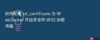 如何配置 ssl_certificate 为 websocket 开启安全的 wss 加密传输