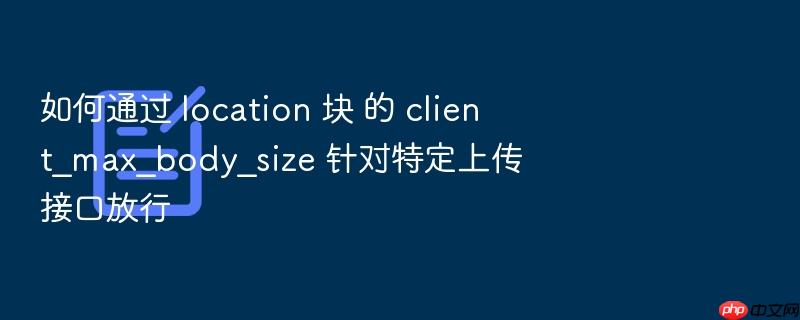 如何通过 location 块 的 client_max_body_size 针对特定上传接口放行