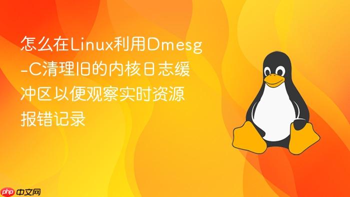 怎么在linux利用dmesg-c清理旧的内核日志缓冲区以便观察实时资源报错记录