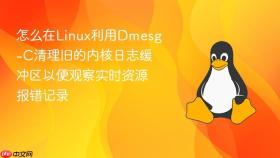 怎么在linux利用dmesg-c清理旧的内核日志缓冲区以便观察实时资源报错记录