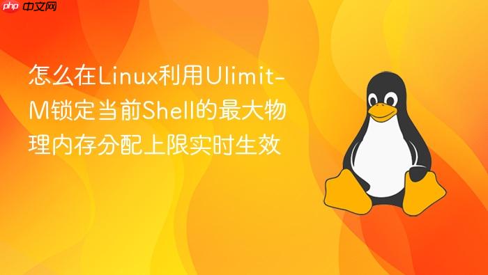 怎么在linux利用ulimit-m锁定当前shell的最大物理内存分配上限实时生效