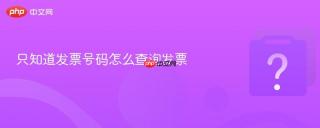 只知道发票号码怎么查询发票