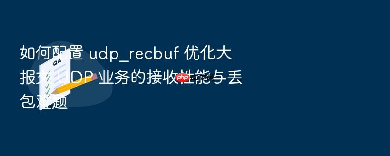 如何配置 udp_recbuf 优化大报文 udp 业务的接收性能与丢包难题