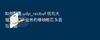 如何配置 udp_recbuf 优化大报文 udp 业务的接收性能与丢包难题