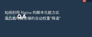 如何利用 nginx 的脚本化能力实现负载均衡后端的自动权重“降速”