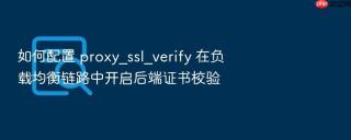 如何配置 proxy_ssl_verify 在负载均衡链路中开启后端证书校验
