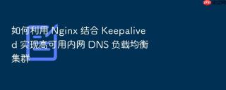 如何利用 nginx 结合 keepalived 实现高可用内网 dns 负载均衡集群