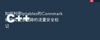 如何利用Iptables的Connmark模块实现多链路的流量安全标记