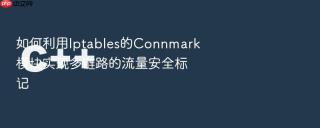 如何利用iptables的connmark模块实现多链路的流量安全标记