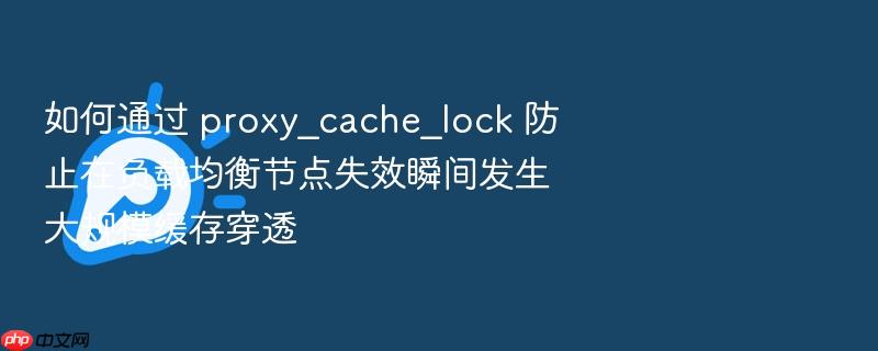 如何通过 proxy_cache_lock 防止在负载均衡节点失效瞬间发生大规模缓存穿透
